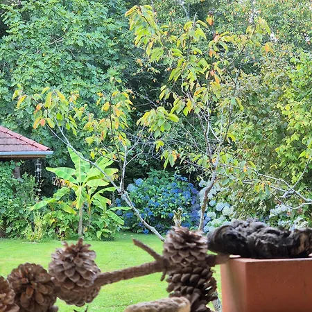 Bed & Breakfast Maison D'Hotes Bearnaise 