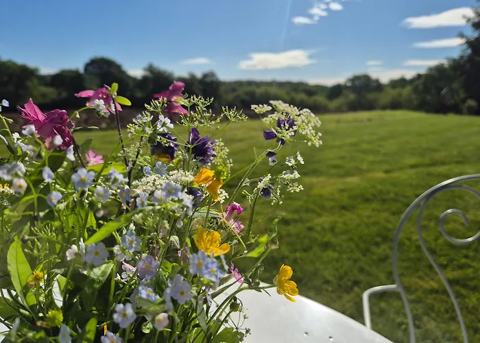 Léchémia 3* Salies-de-Béarn