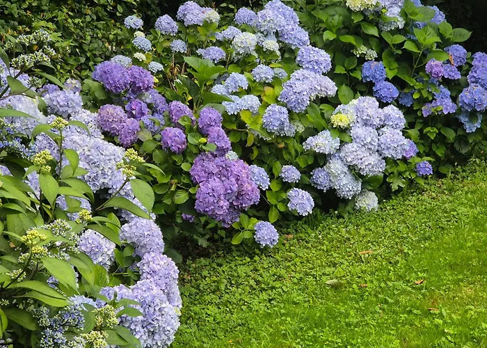 Nocleg ze śniadaniem Lechemia